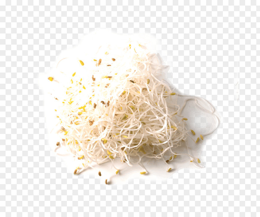 Alfalfa Sprouts Taste Stock Photography Image Popcorn Download PNG