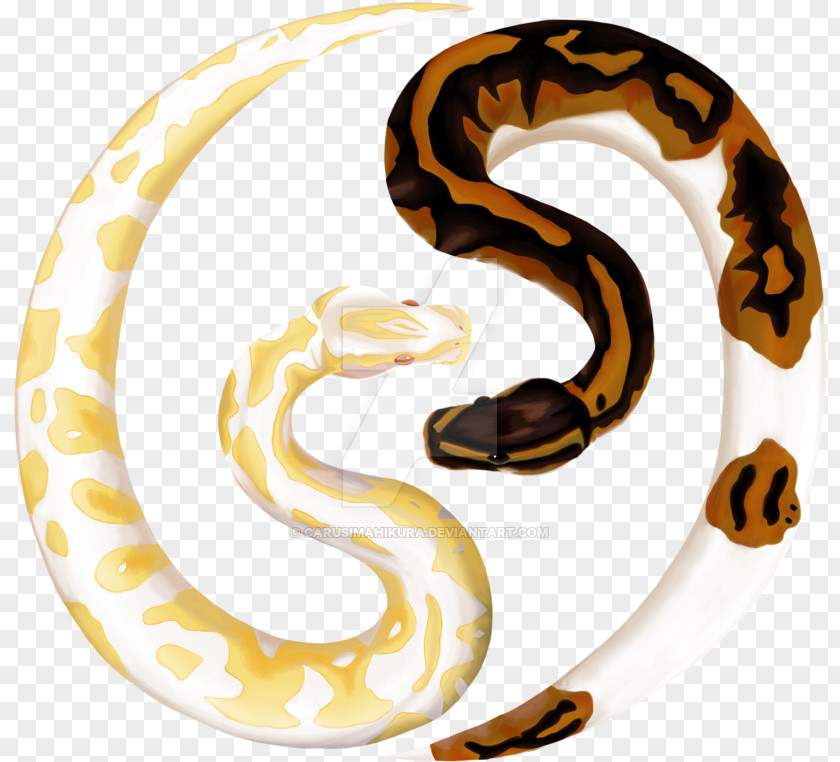 Animal Figure Corn Snake Drawing Of Family PNG
