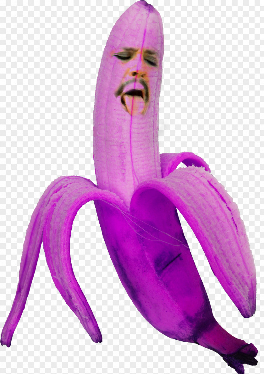 Banana Blue Violet Purple Pink PNG