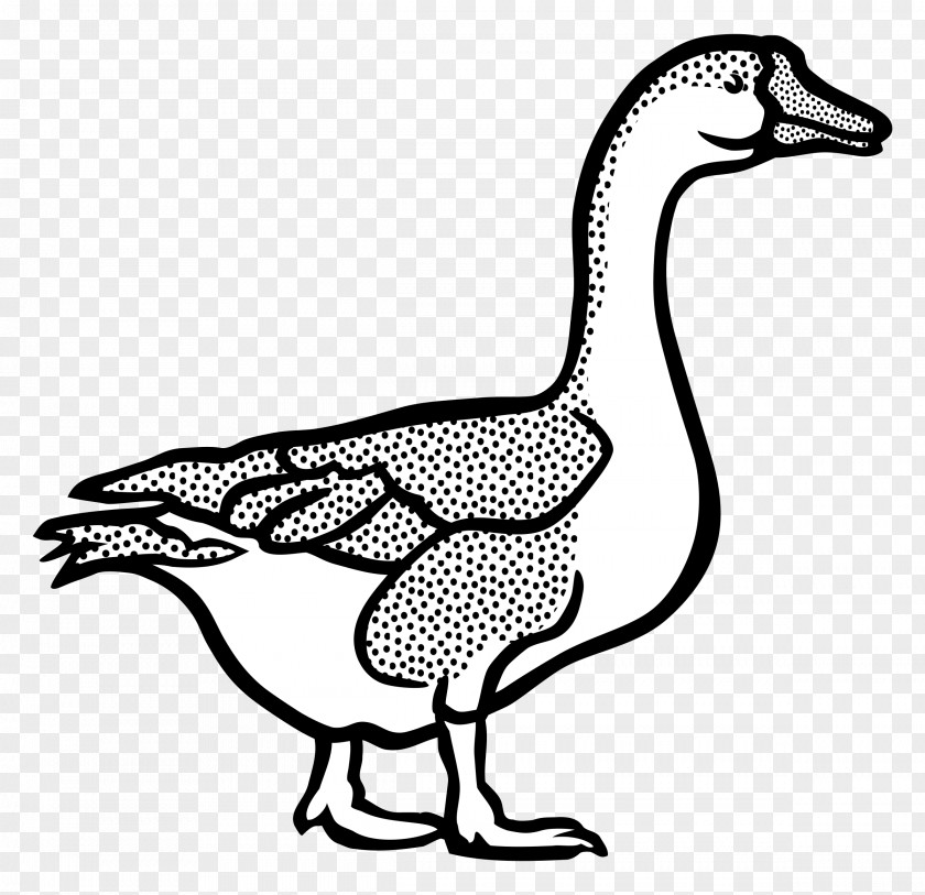 Goose Canada Duck Clip Art PNG