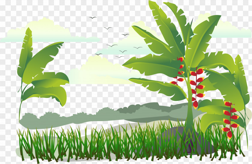 Island Tree Vector Banana Illustration PNG
