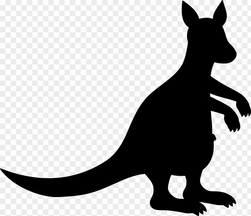 Kangaroo Clip Art Fauna Silhouette Pet PNG