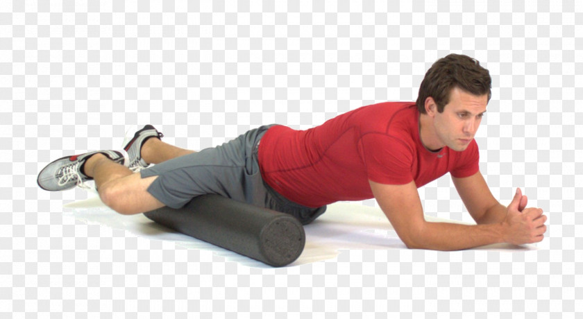 Stretching Fascia Training Myofascial Release Adductor Muscles Of The Hip Exercise PNG