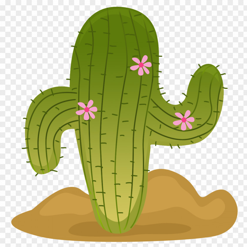 Cactus Cactaceae Mexico Flowering Plant Clip Art PNG
