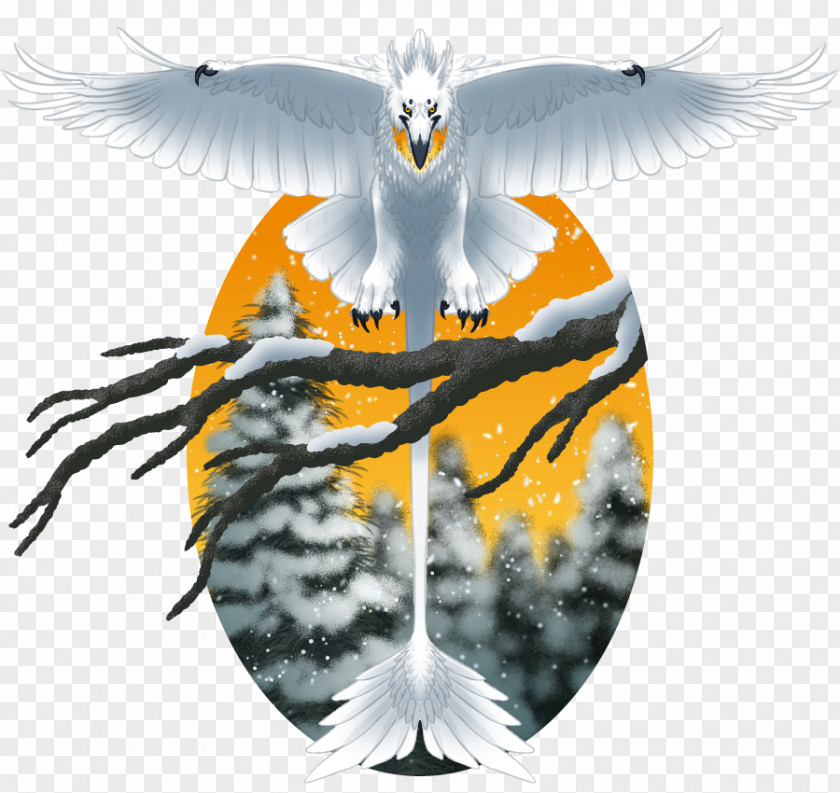 Eagle Beak Desktop Wallpaper PNG