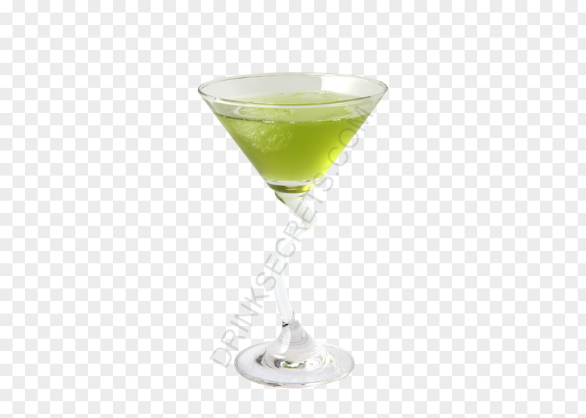 Japanese Recipes Cocktail Garnish Gimlet Martini Appletini PNG