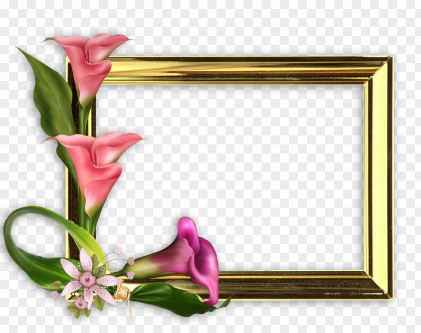Patio Picture Frames Photography PNG