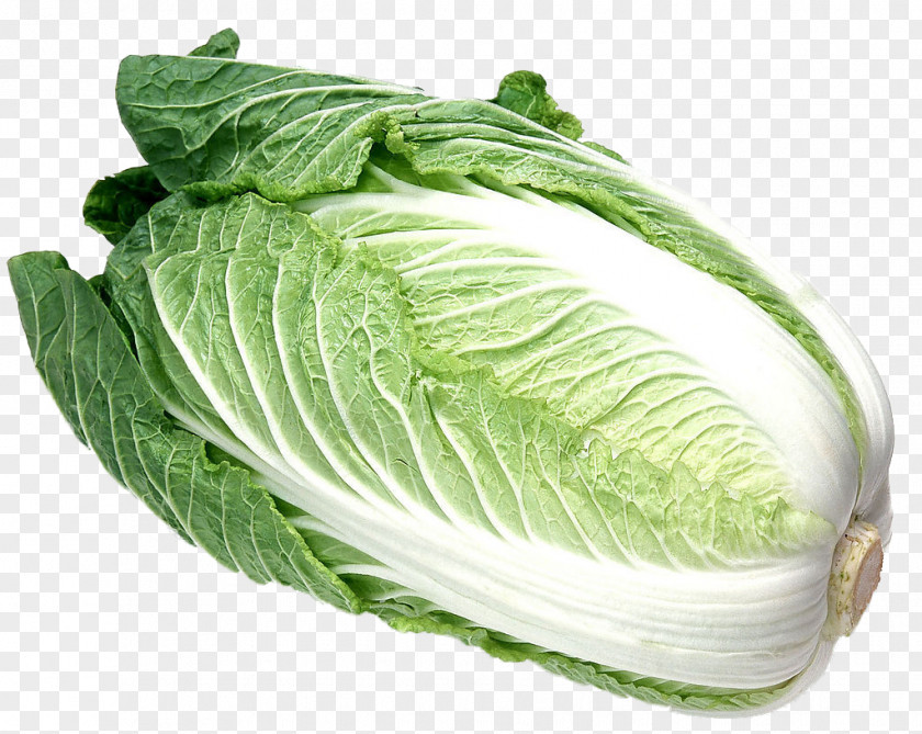 A Cabbage Napa Malatang Chinese Cuisine Vegetable PNG