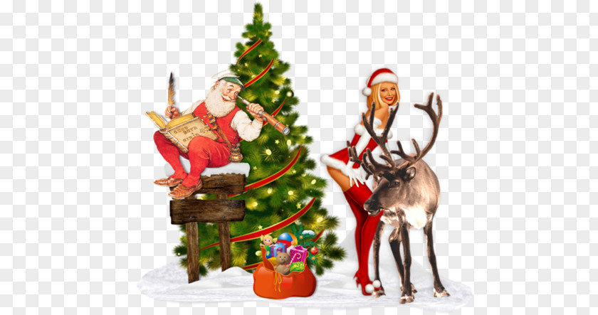 Noel Baba Resimleri Christmas Ornament Santa Claus Mrs. Reindeer PNG