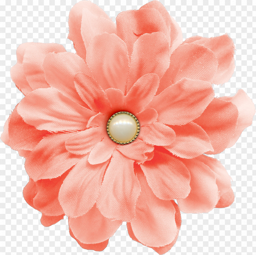 Pink Flower Buttons Pearl PNG