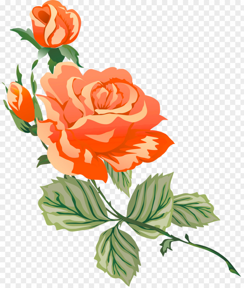 Rose Garden Roses Flower Red Purple Clip Art PNG