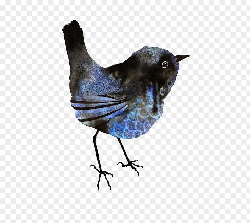 Sparrow Bird Drawing Illustration PNG