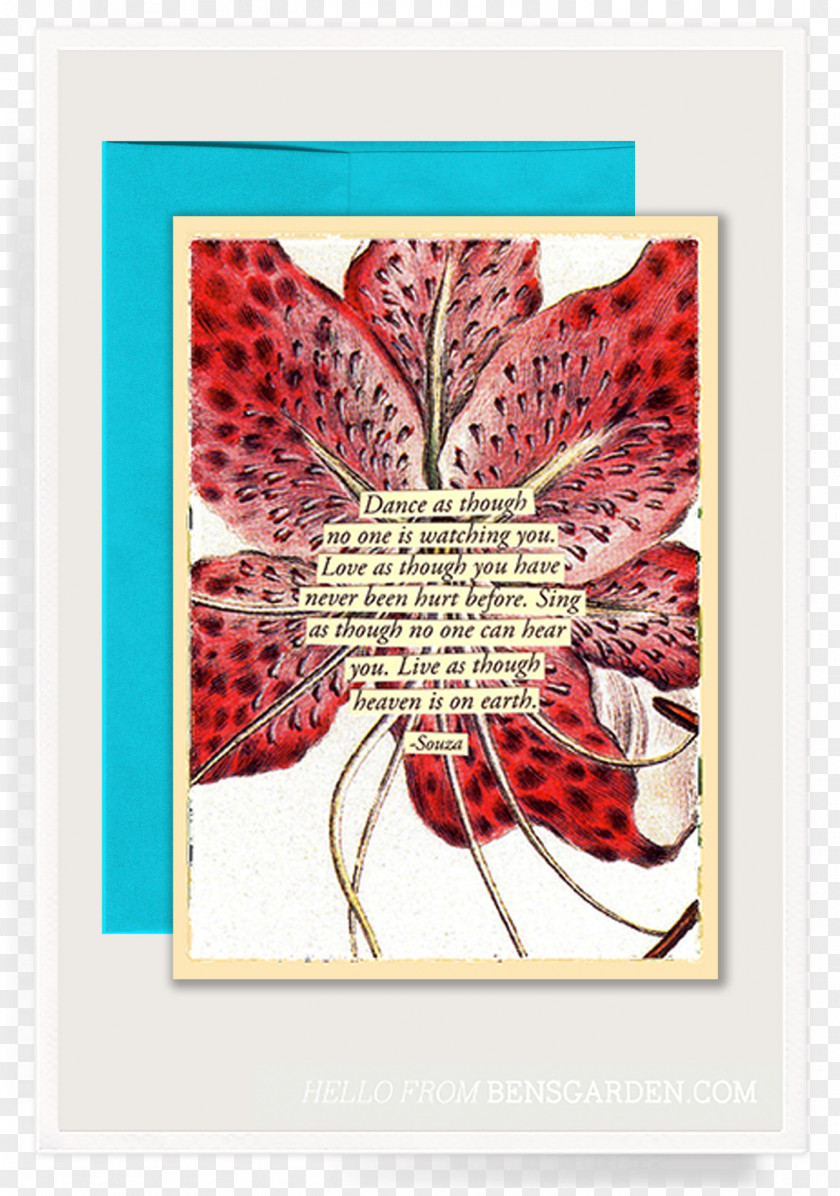 Stargazer Lily Paper Ben's Garden Greeting & Note Cards Floral Design PNG