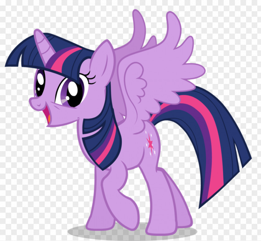Twilight Sparkle Pony Rainbow Dash Derpy Hooves Pinkie Pie PNG