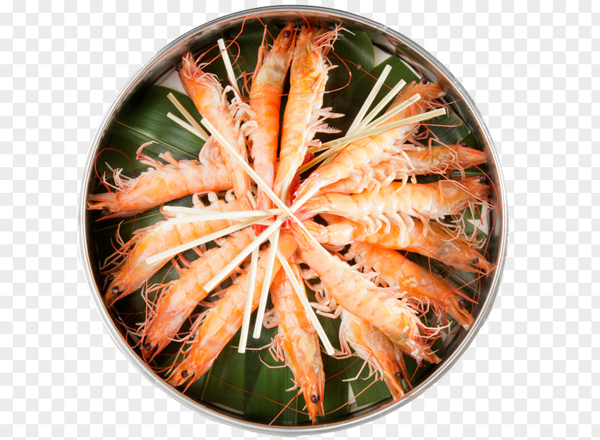 Weekend Special Caridea 有得食 Seafood Prawns PNG