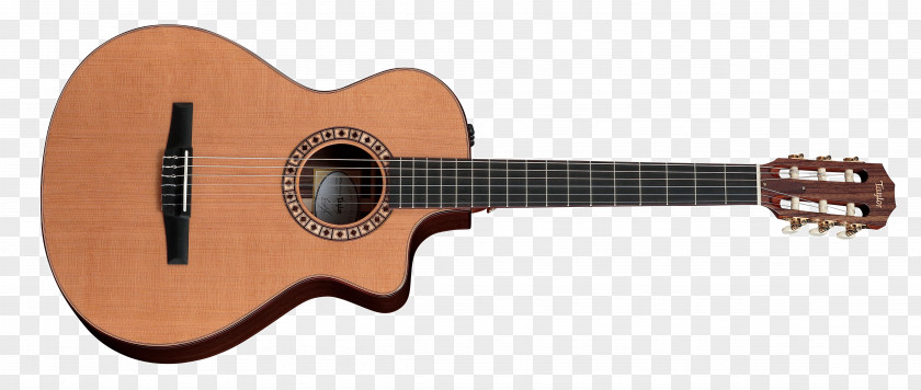 Guitar Taylor Guitars GS Mini Acoustic Musical Instruments PNG