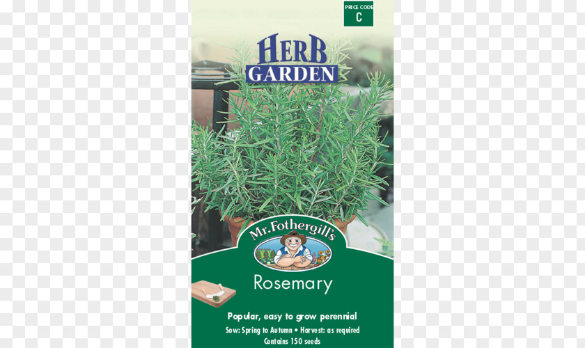 Herb Garden Rosemary Coriander Seed Thyme PNG