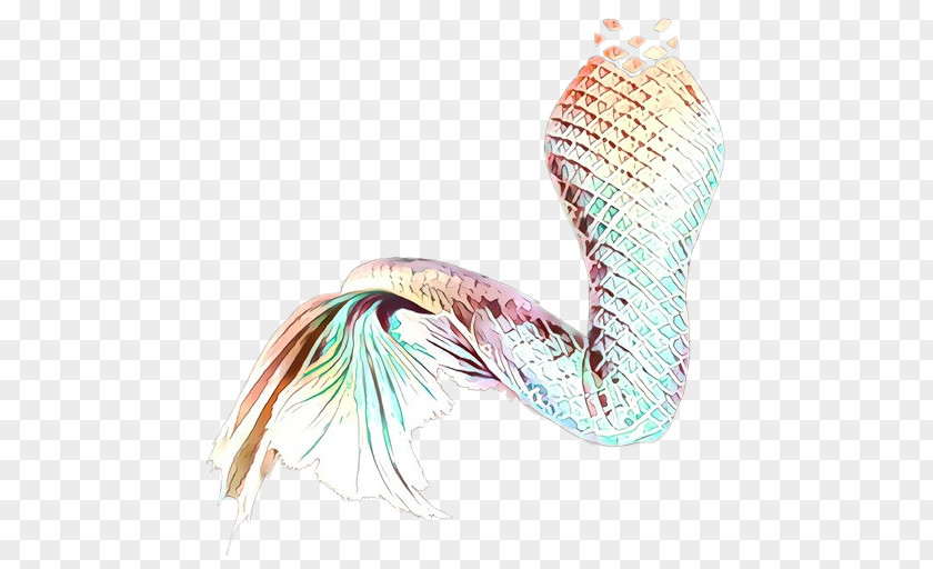 Tail Wing Feather PNG