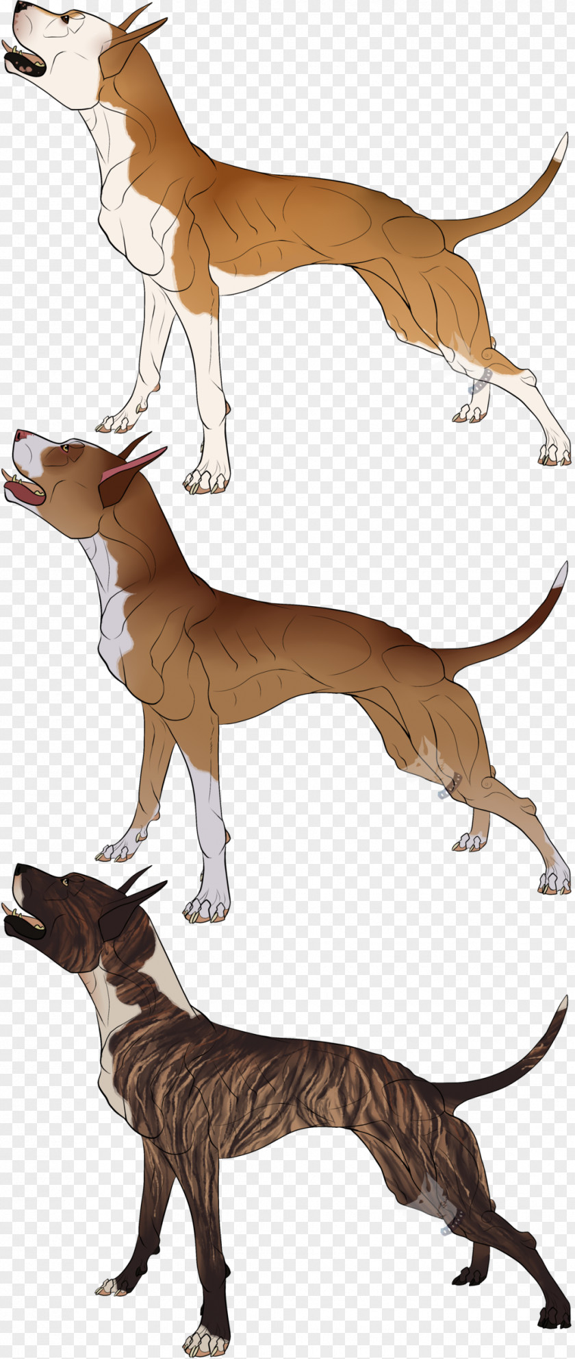 Cane Corso Italian Greyhound Cartoon Character PNG