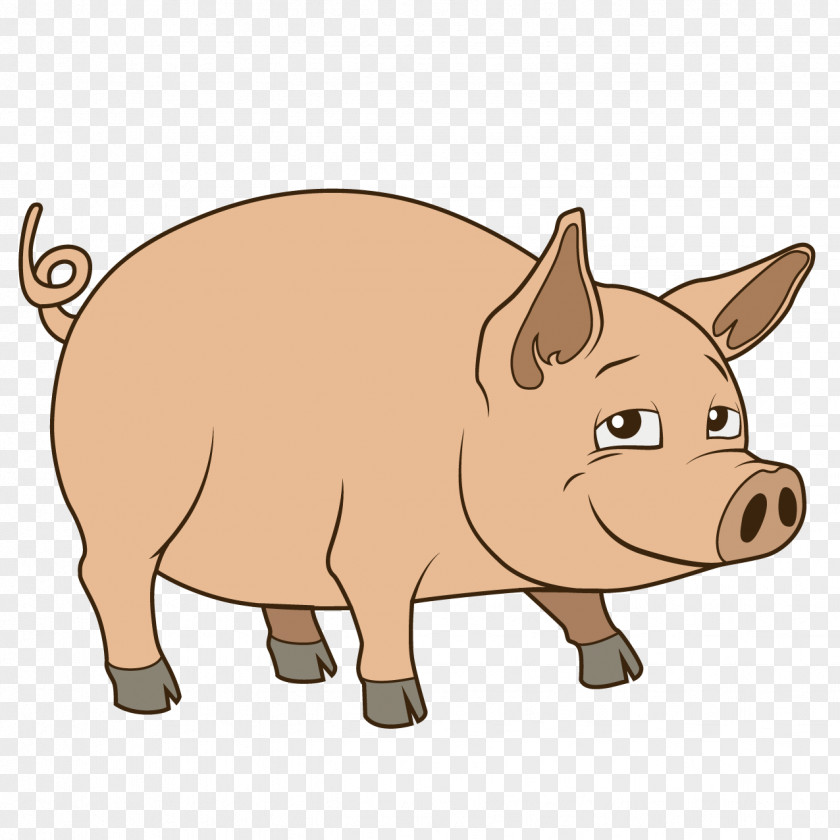 Cute Pig Drawing Royalty-free Illustration PNG