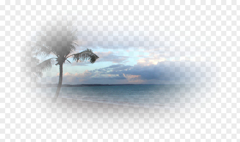 Desktop Wallpaper Beach Sea PNG