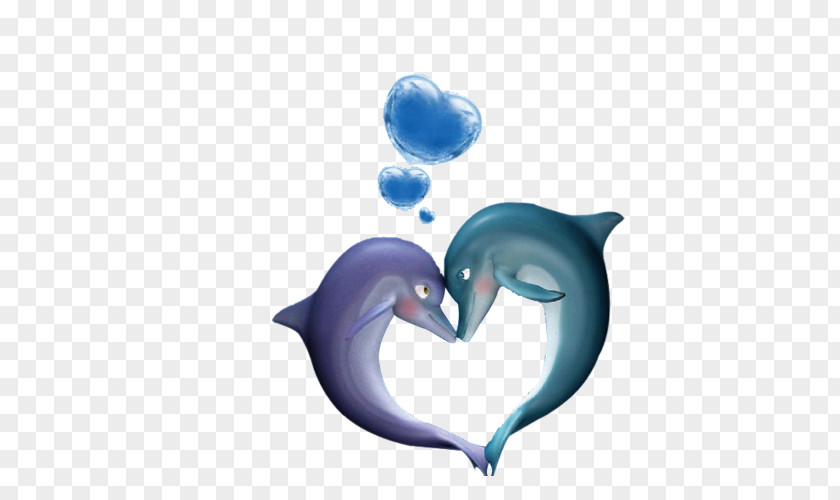 Dolphin Poster Cartoon PNG