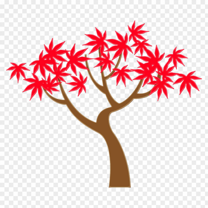 Flower Maple Tree Red Leaf Woody Plant PNG