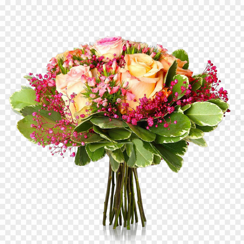 Garden Roses Rose PNG