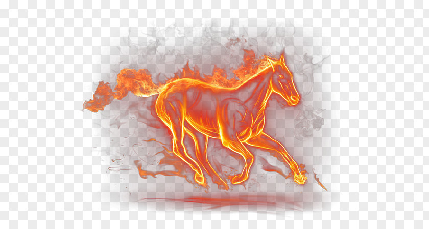 Horse Pony Llama Flame Gallop PNG