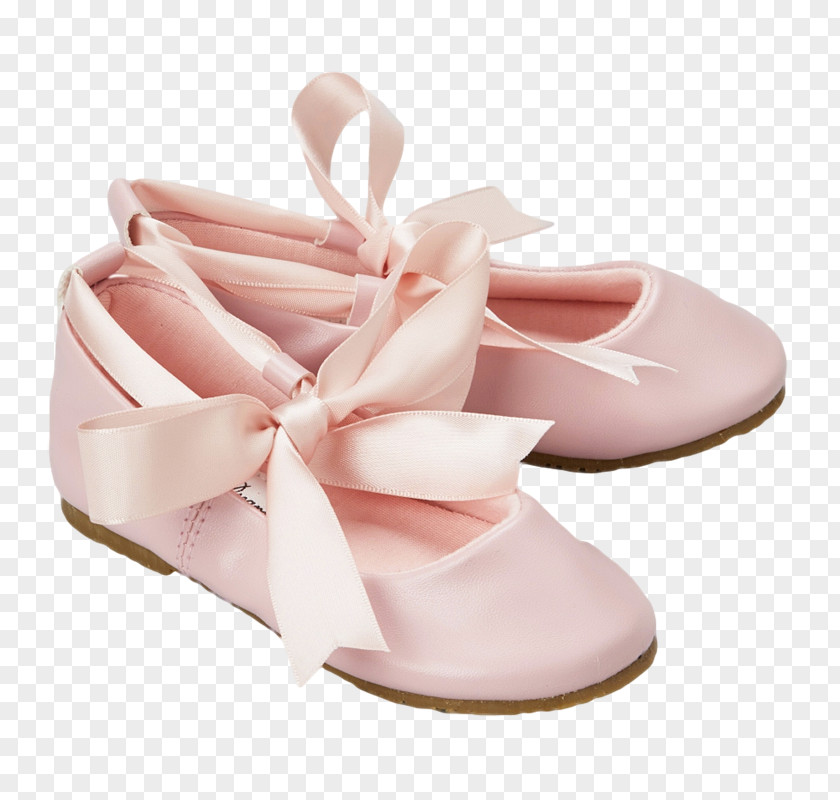 Pink Light Ballet Shoe Flat Dress PNG