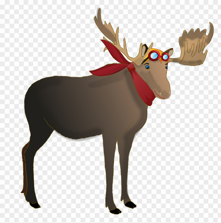 Reindeer Moose Antler Mammal PNG