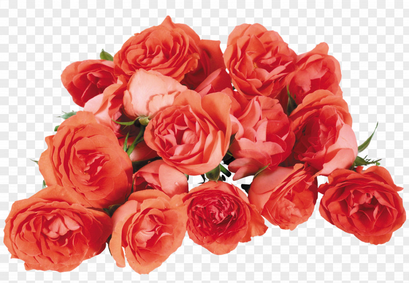 Birthday Desktop Wallpaper Flower Bouquet Greeting & Note Cards PNG