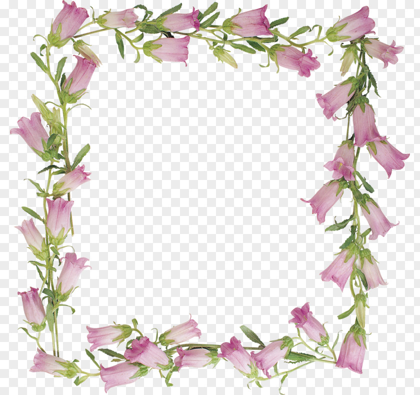 Lily Of The Valley Decorative Borders Picture Frame PNG