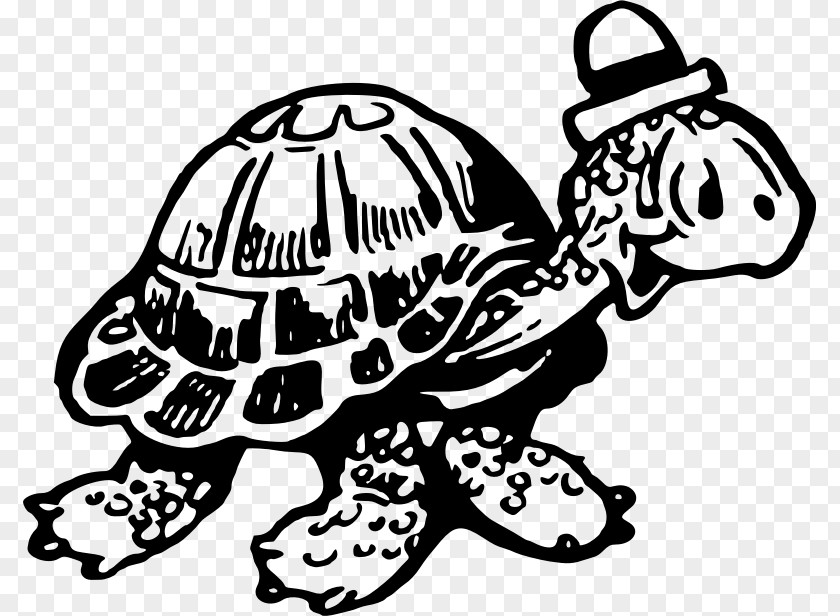 Tortoide Long-sleeved T-shirt Turtle Hoodie Clip Art PNG