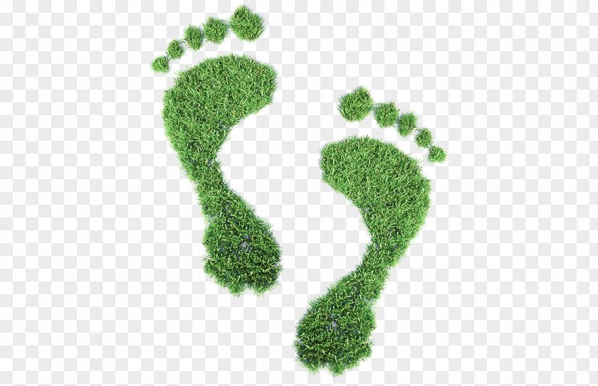 Ecological Concept Footprint Royalty-free Carbon Clip Art PNG
