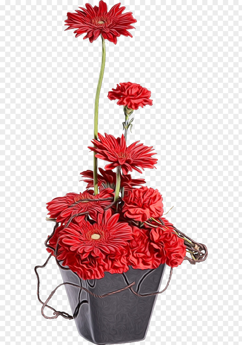 Floral Design Cut Flowers Flowerpot Transvaal Daisy PNG