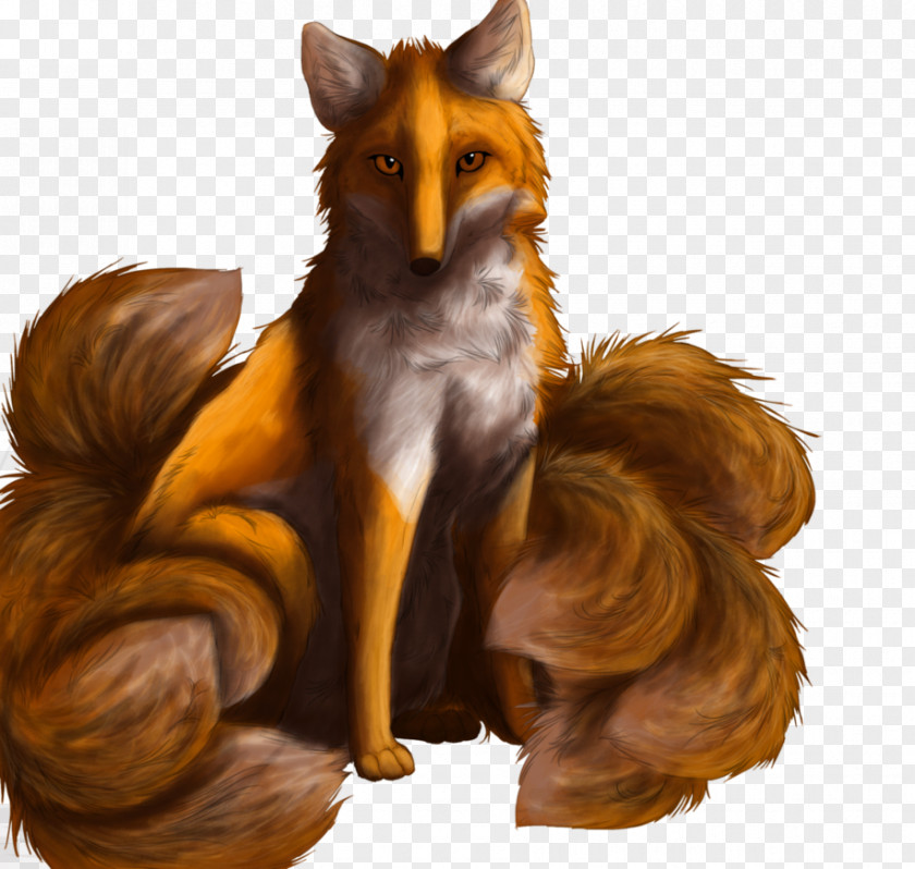 Fox Red Fur Wildlife News PNG