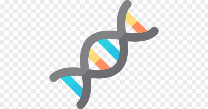 Genetics Clipart Psd Nucleic Acid Double Helix DNA Clip Art PNG