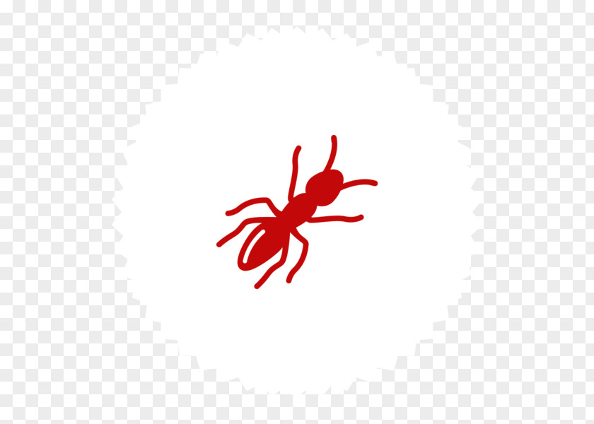 Mail Or Feedback Icon Pest Insectokill Solutions Creative Commons Silverfish PNG
