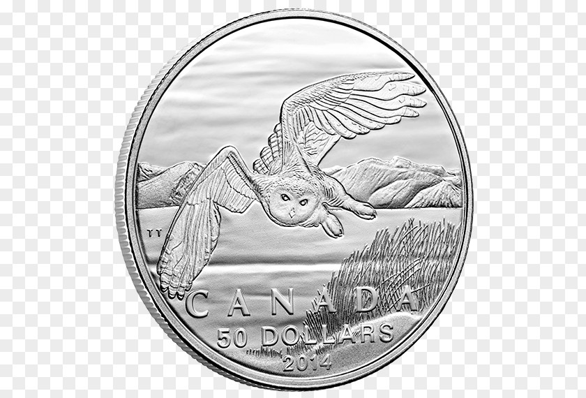 Metal Coin Silver Canada Royal Canadian Mint PNG