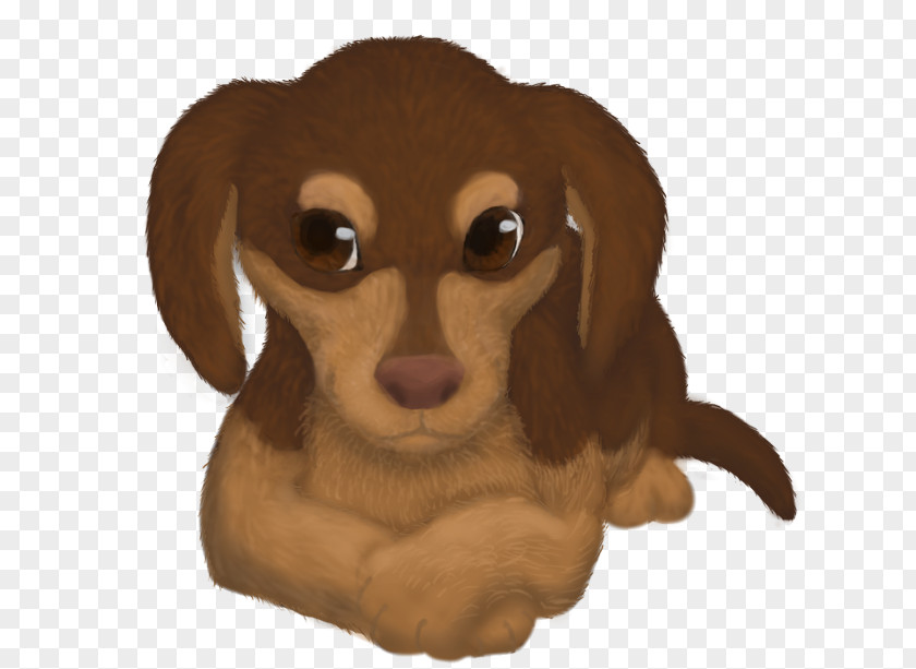 Puppy Dog Breed Love Dachshund Companion PNG