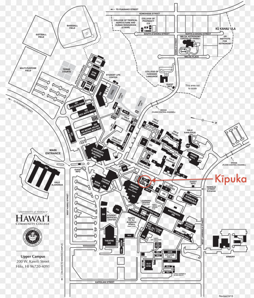 Student University Of Hawaii Campus College PNG