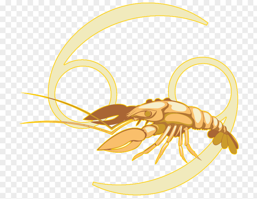 Cancer Astrology Horoscope Zodiac Capricorn Crab Month PNG