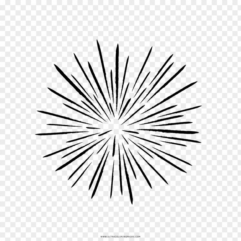 Fireworks Black And White Drawing PNG