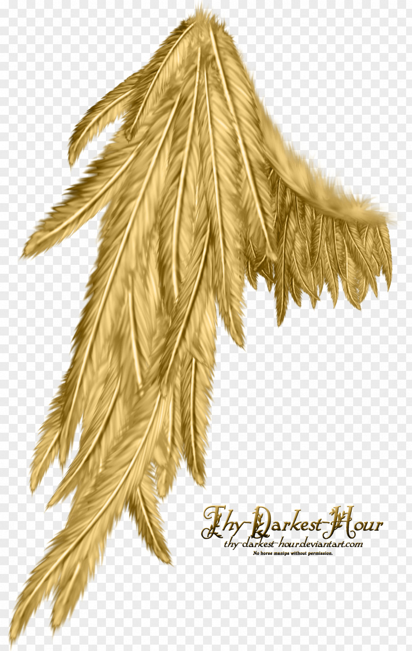 Forum DeviantArt Image Angel PNG