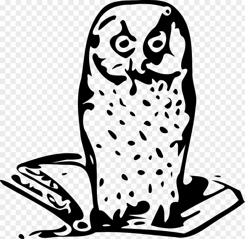 Owl Clip Art PNG