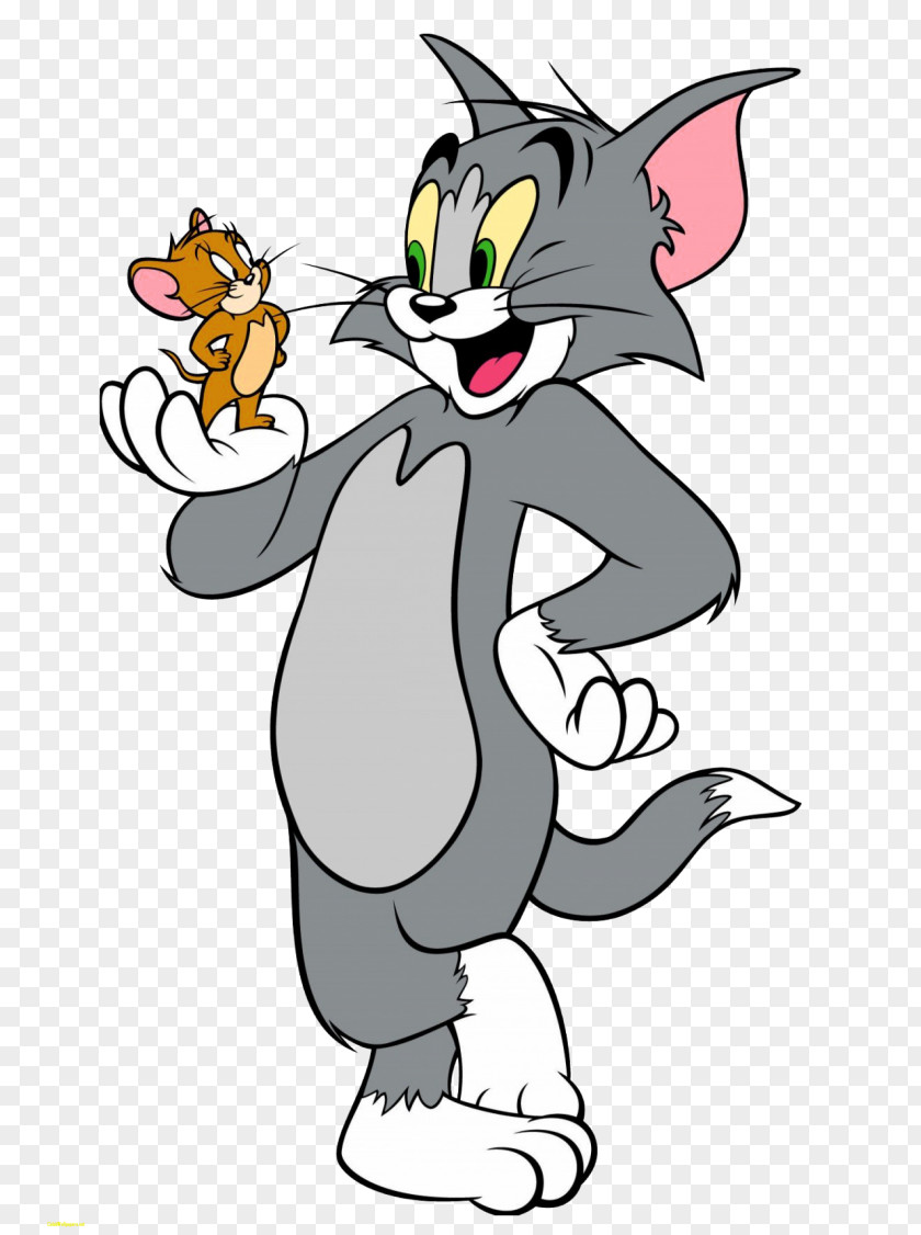 Tom & Jerry Cat Mouse Golden Age Of American Animation And Cartoon PNG