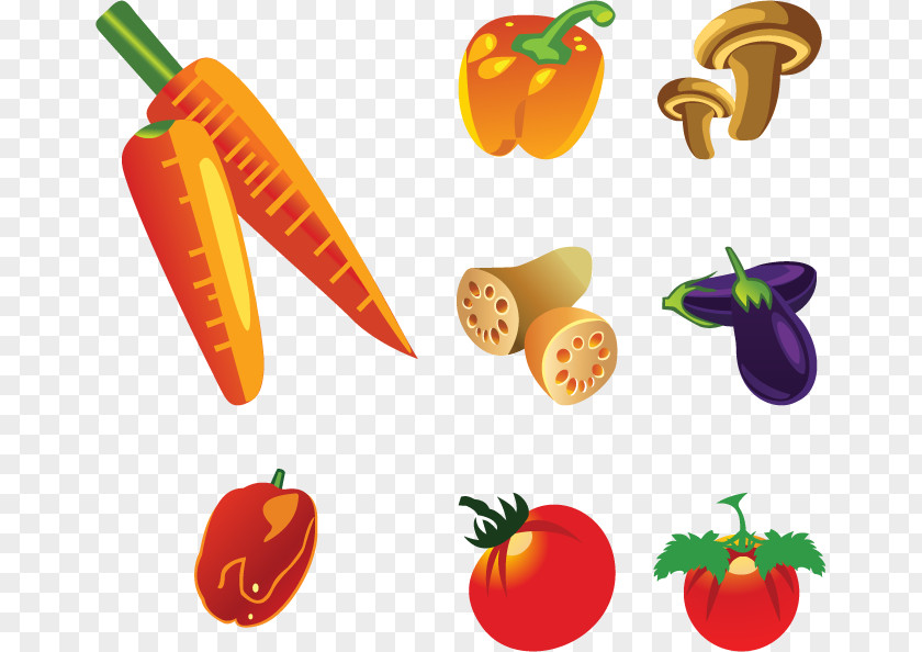 Vegetables Vector Diagram Fruit Vegetable Healthy Diet Food PNG