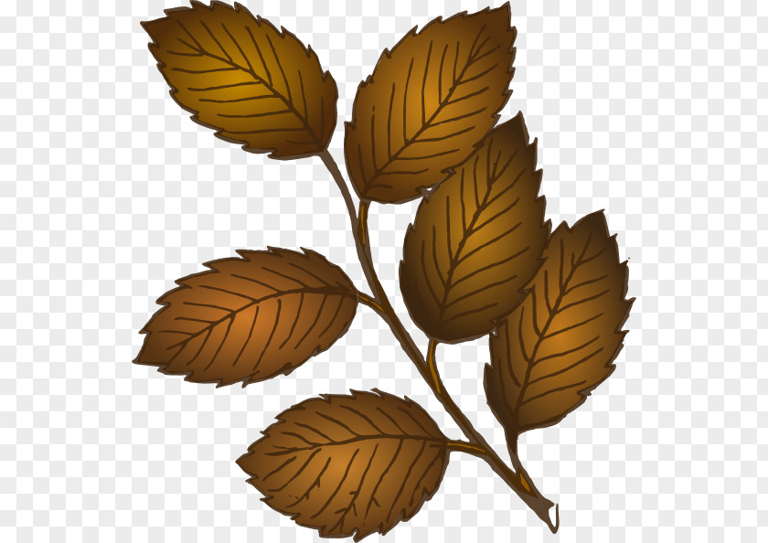 Branch Leaves Cliparts Autumn Leaf Color Clip Art PNG