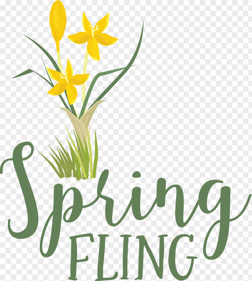 Floral Design PNG